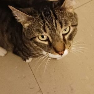 Meet your Posher, Louise